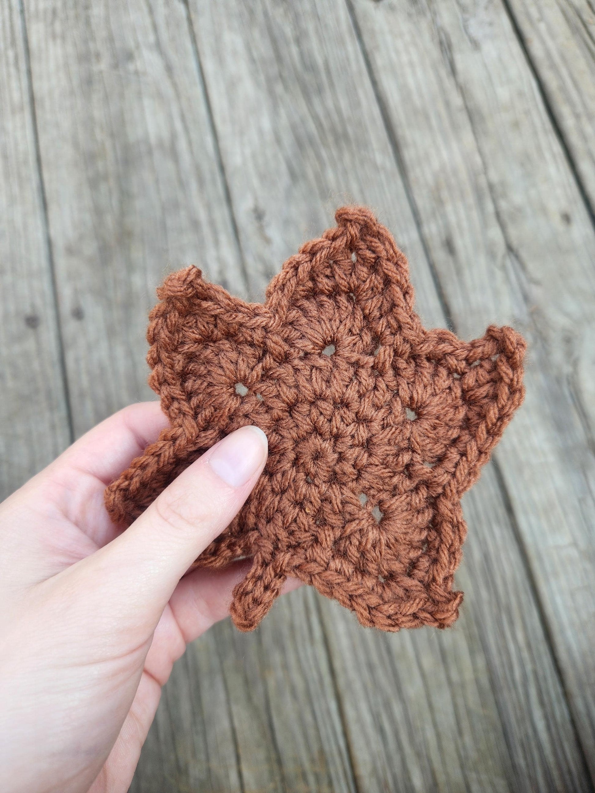 Autumn Leaf Coasters